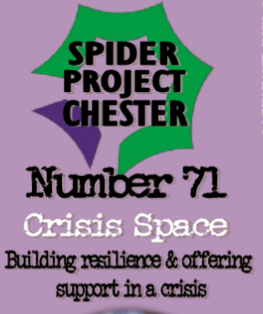 Spider project Spider project